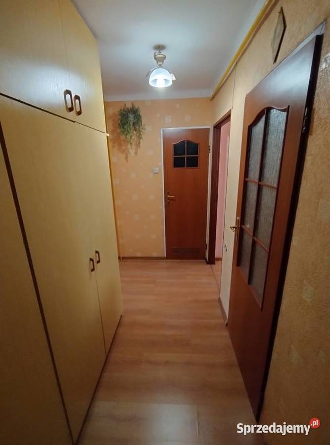 Wynajmę mieszkanie 3pokojowe na pierwszym balkon Brzesko