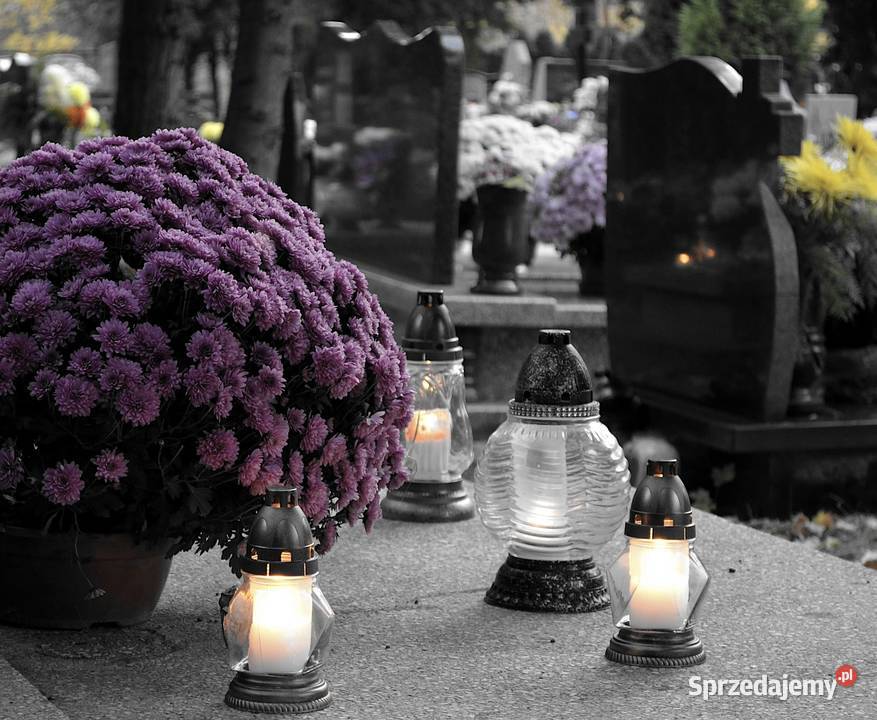 Cennik prac cmentarz osobowicki Wrocław dolnośląskie