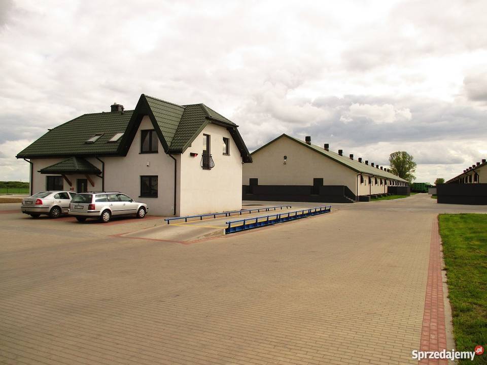 Budowa Chlewni Obór Kurników TANIO SZYBKO mazowieckie Żuromin
