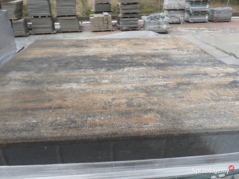 Płyta Tarasowa Maxima 80x80 kostka Brukowa Wielogóra
