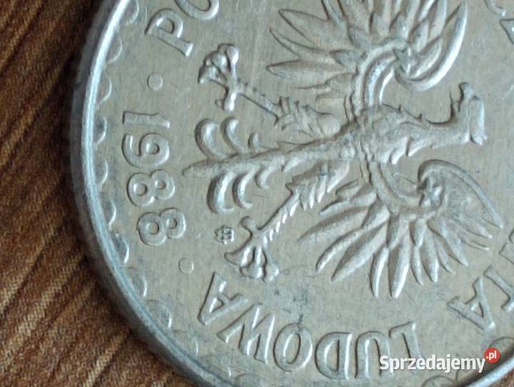 Sprzedam 1 zl 1988 r zzm splaszczona data Chełm