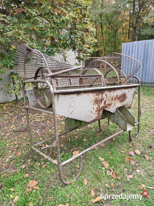 Sortownik do ziemniaków