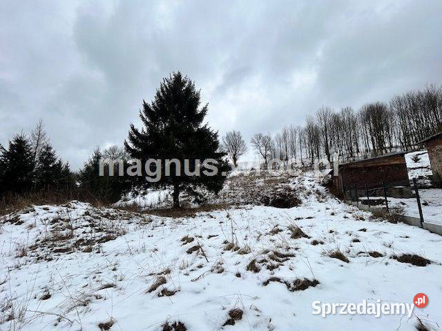 Urocza działka w Grzmiącej z wydanymi warunkami Grzmiąca sprzedam