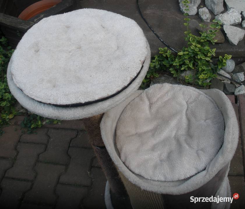 Drapak kota Trixie XXL 90 szary Kraków