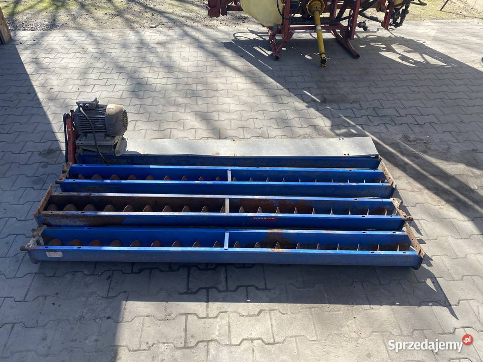 Żmijka korytowa Kongskilde 8m Pozostałe Dawidy