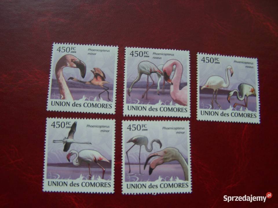 Komory 2009 MNH Fauna Ptaki Flamingi 5v set Kolekcje