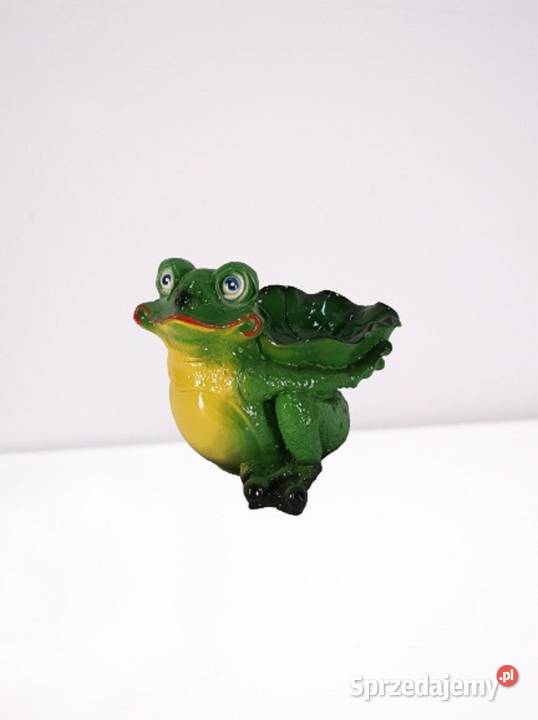 Dekoracja Żabka Poidełko Warszawa