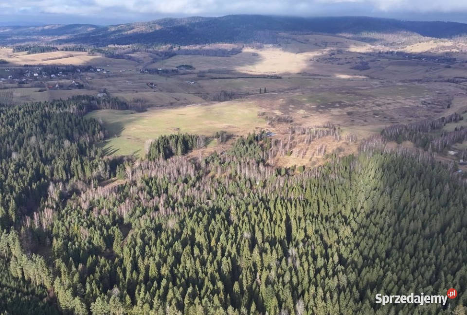 Działka Czarna 11400m2 podkarpackie sprzedam