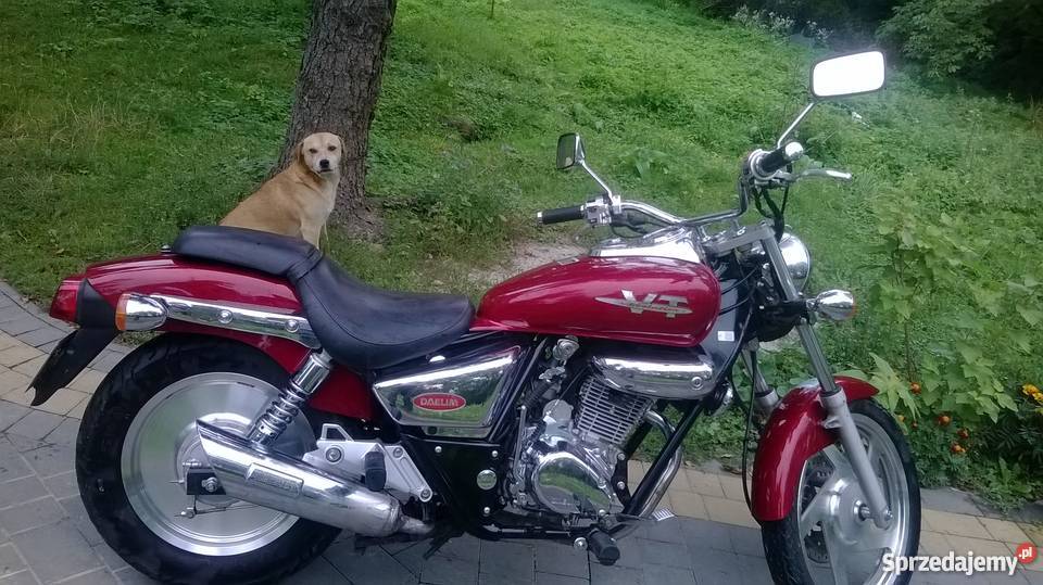 Daelim VT Evoluton 125 Chopper podkarpackie