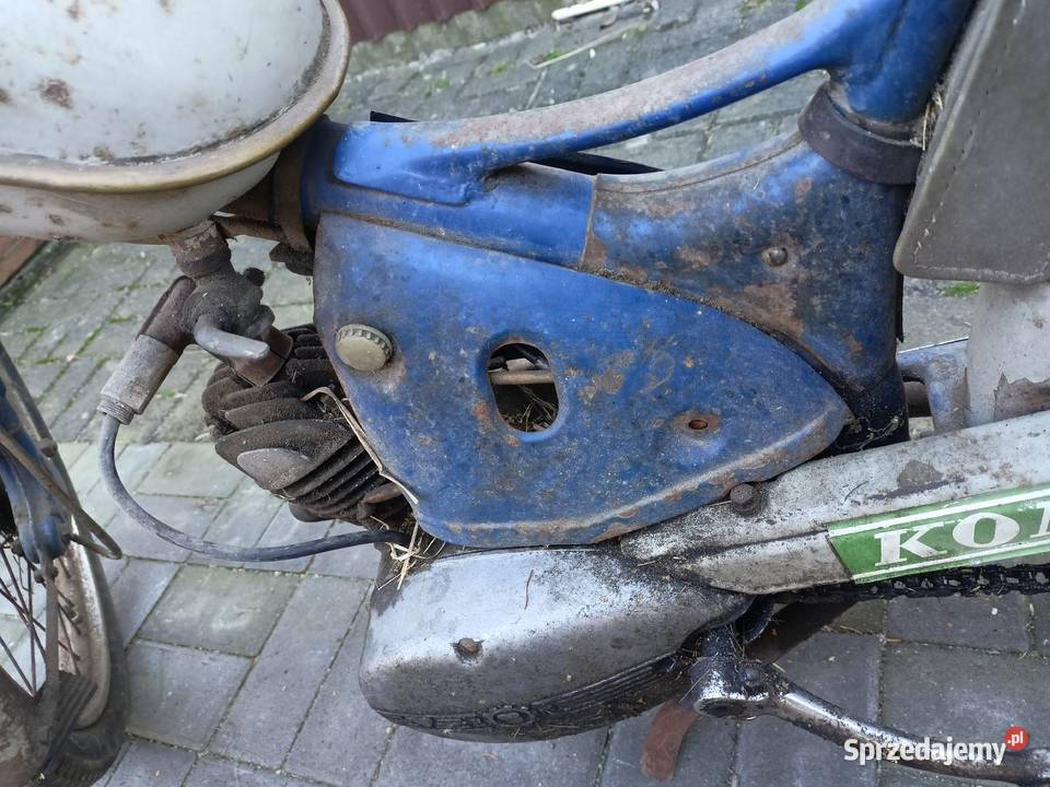 Komar Romet sztywniak Komar Wołczyn