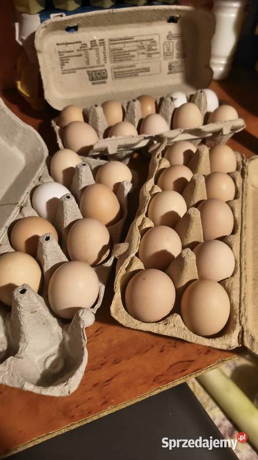 Jaja z gospodarstwa rolnego Produkcja roślinna Kornica-Kolonia