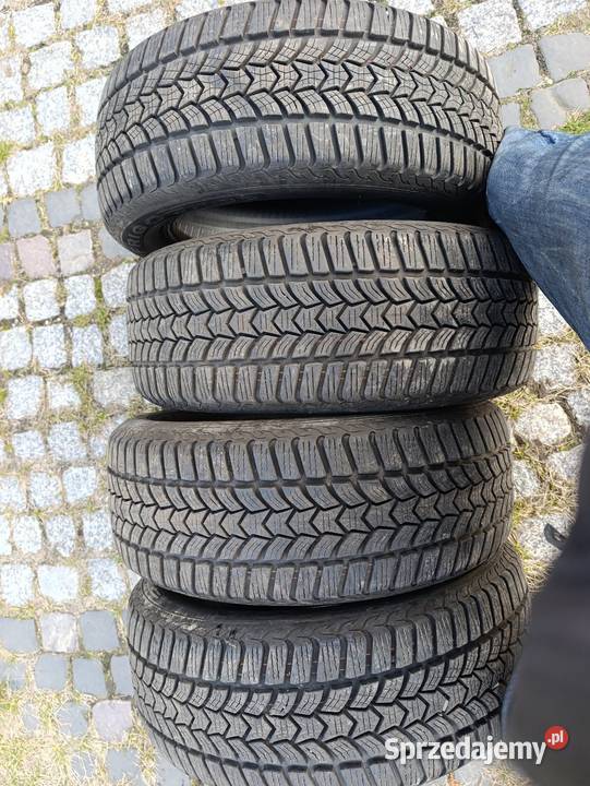 Opony zimowe Dębica 1655205 Bytom