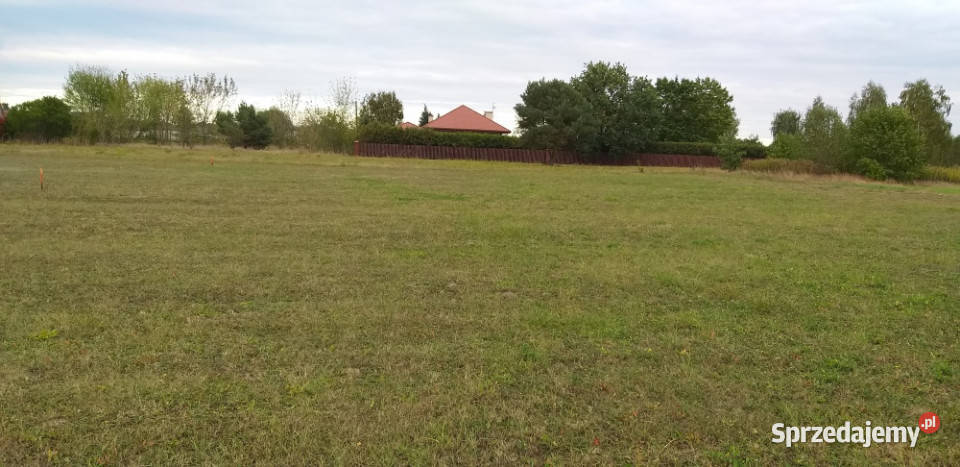 działka budowlana pod Warszawą 30 PKiN asfalt mazowieckie