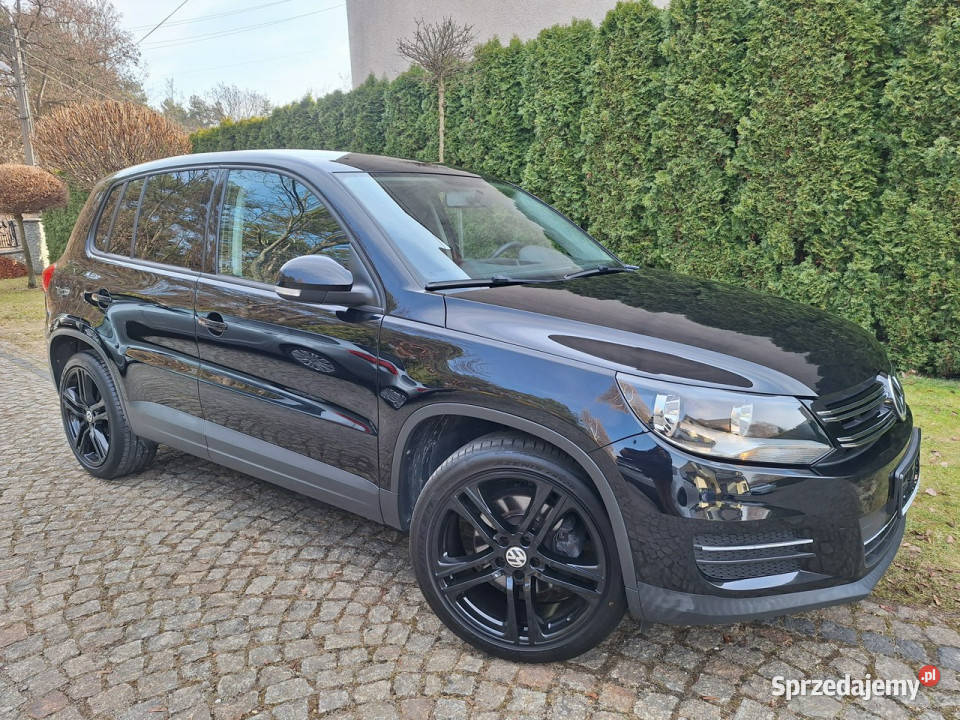 Volkswagen Tiguan BlueMotion Technology Trend SUV Siewierz