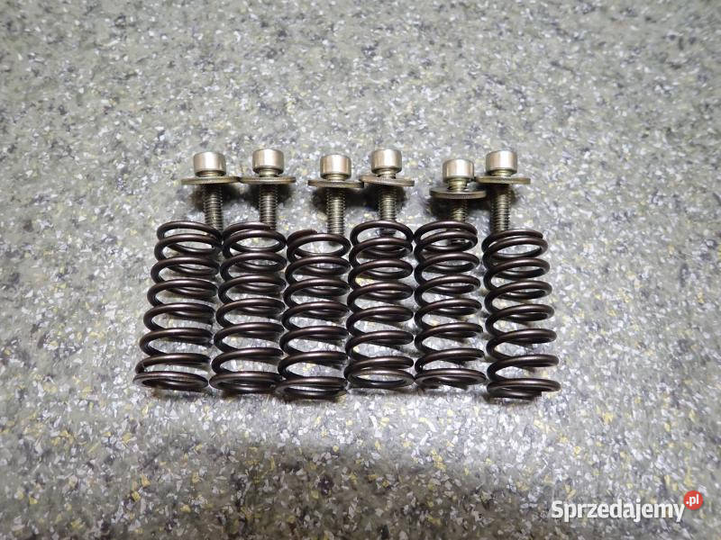 SPRĘŻYNY ŚRUBKI KOSZA SPRZĘGŁA TM RACING MX 250 Strzelce Krajeńskie