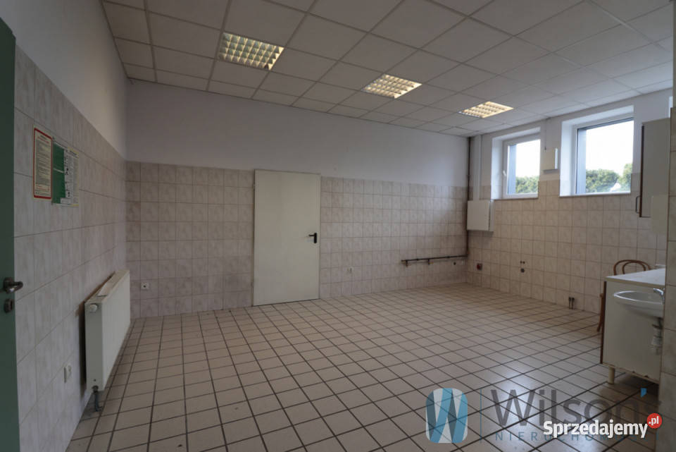 Wynajem lokalu Pruszków 300 metrów Wynajem