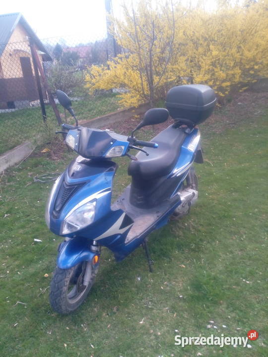 sprzedam Yuki Cięcina sprzedam