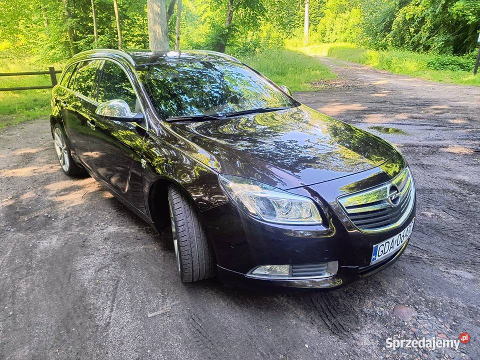 Opel Insignia A 20 CDTI 4x4 Automat Sobowidz