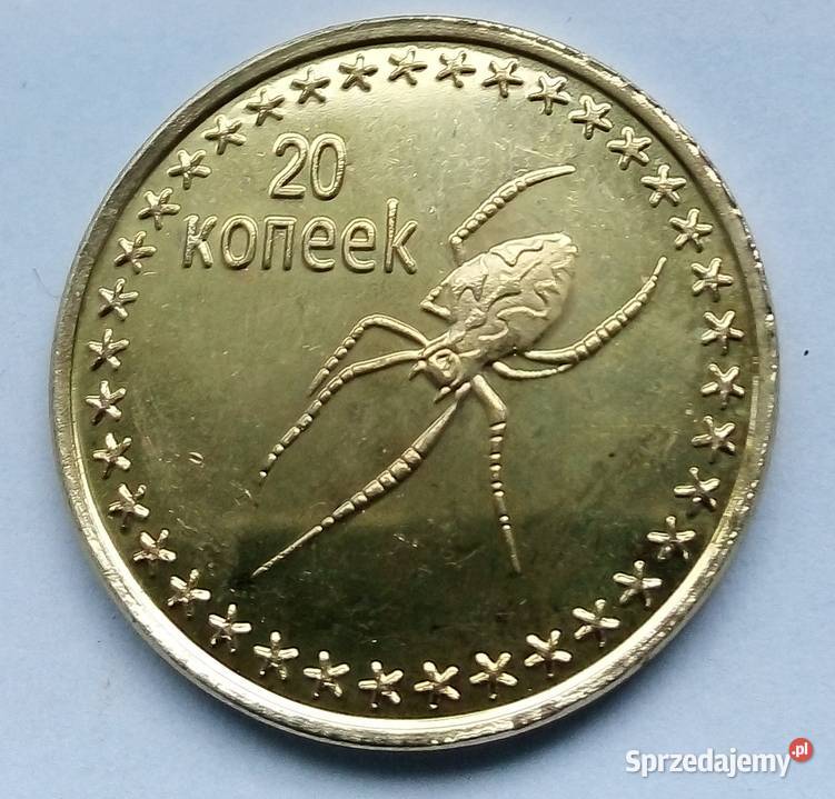 CZECZENIA20 KOPIEJEK2013 r PAJĄKŁADNA2