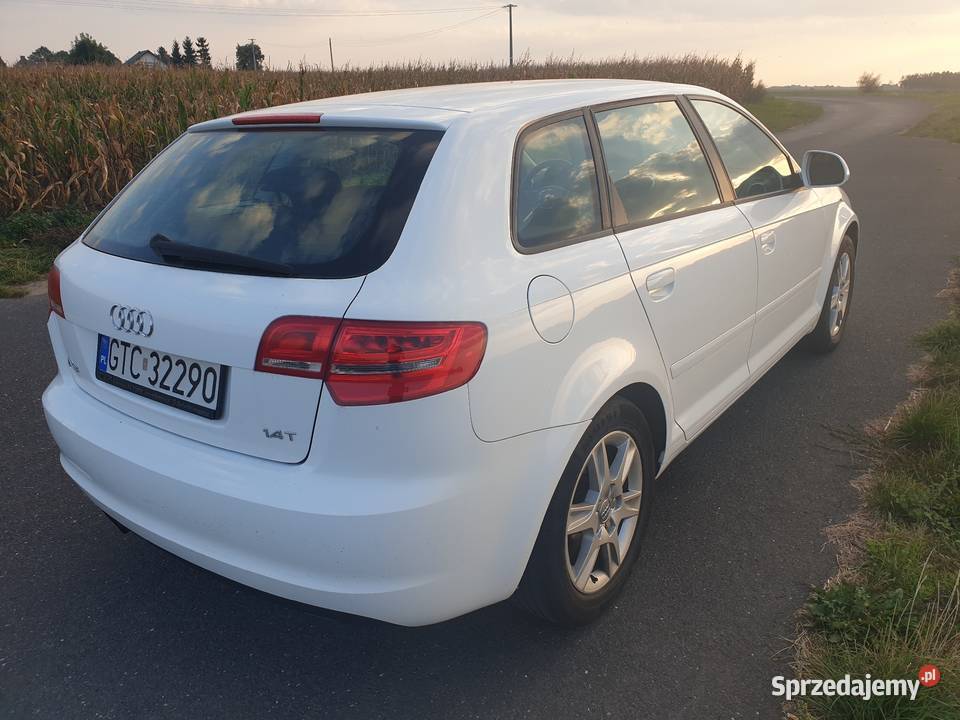 Audi A3 II 8P 14T 2009 144 SPORTBACK klimatyzacja A3 kujawsko-pomorskie Toruń