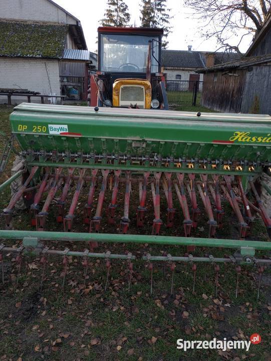 Siewnik zbożowy HASSIA DP250 nieuszkodzony Wisznice sprzedam