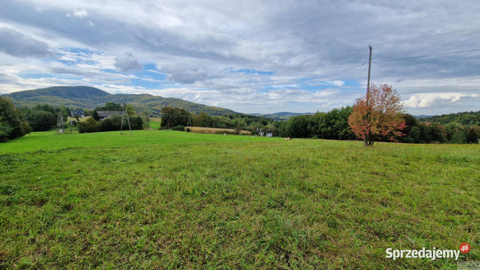 Działka Zegartowice 4000m2 sprzedam