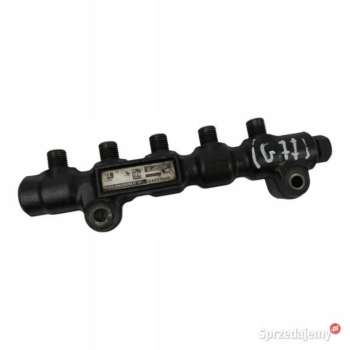 LISTWA WTRYSKOWA Peugeot 206 307 Citroen C3 C4 lubelskie Chełm sprzedam