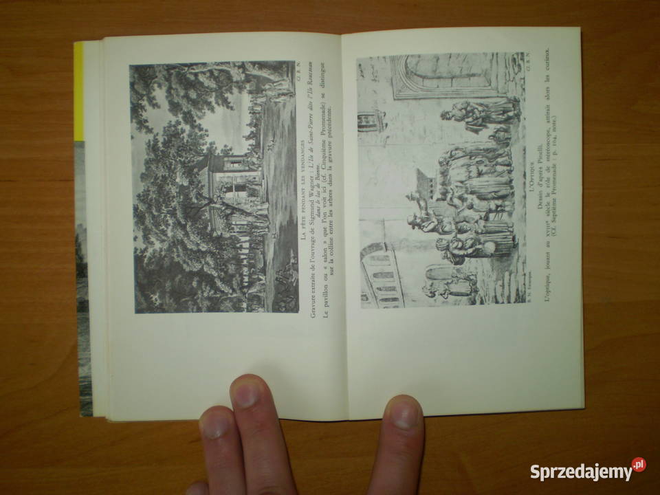 Les Reveries Rousseau