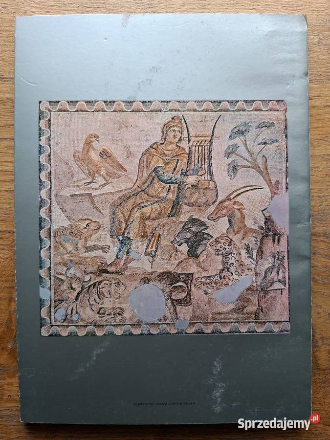 Turcja Turkei Hatay Museum und die Umgebung j