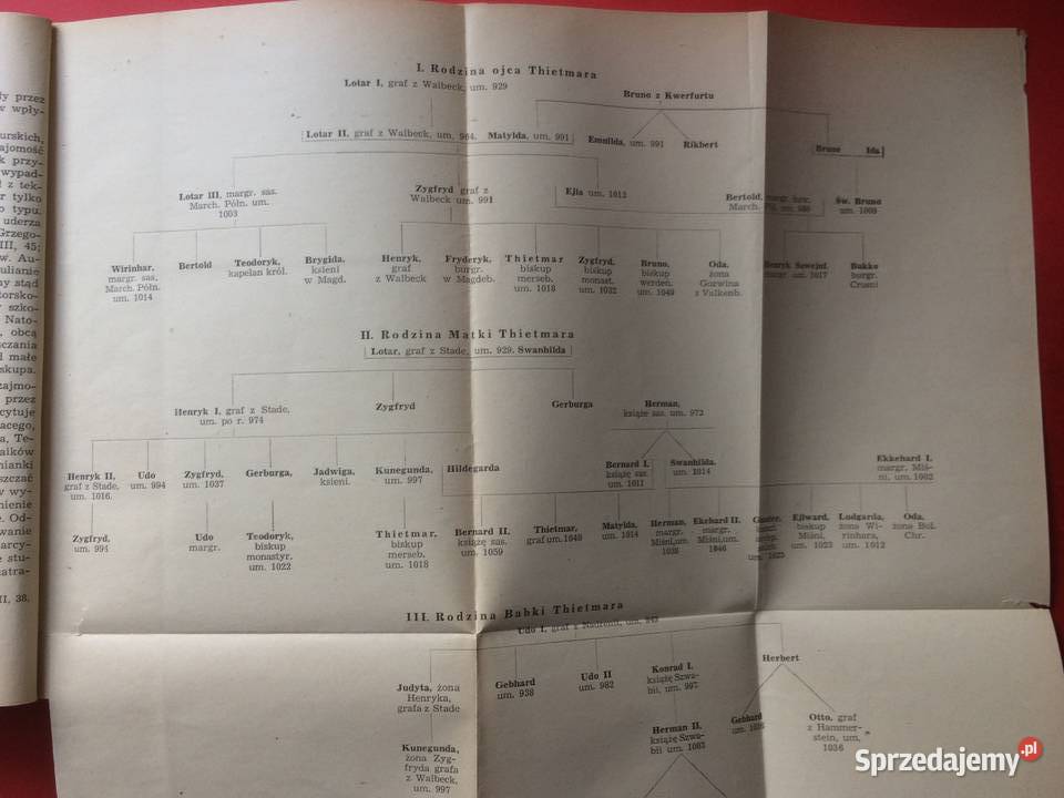 3135 KronikaThietmara Szczecin