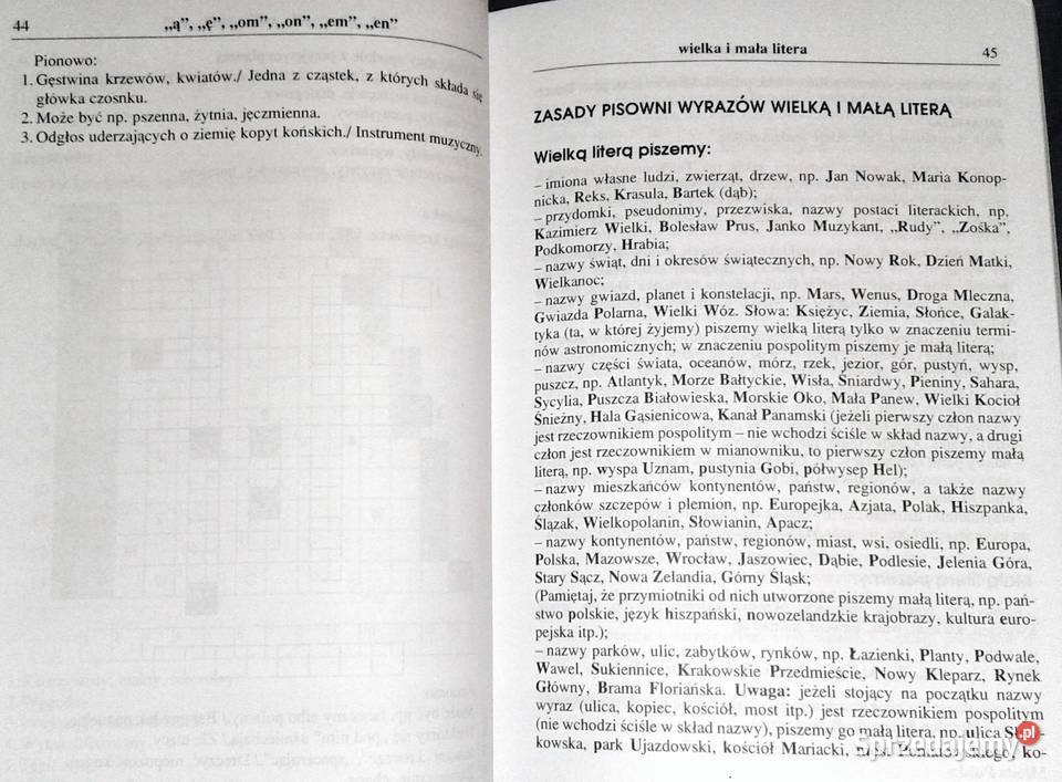 Ortografia na 6 E Szymonek B Kuczera K Cygal Rok wydania 2006 Chełm