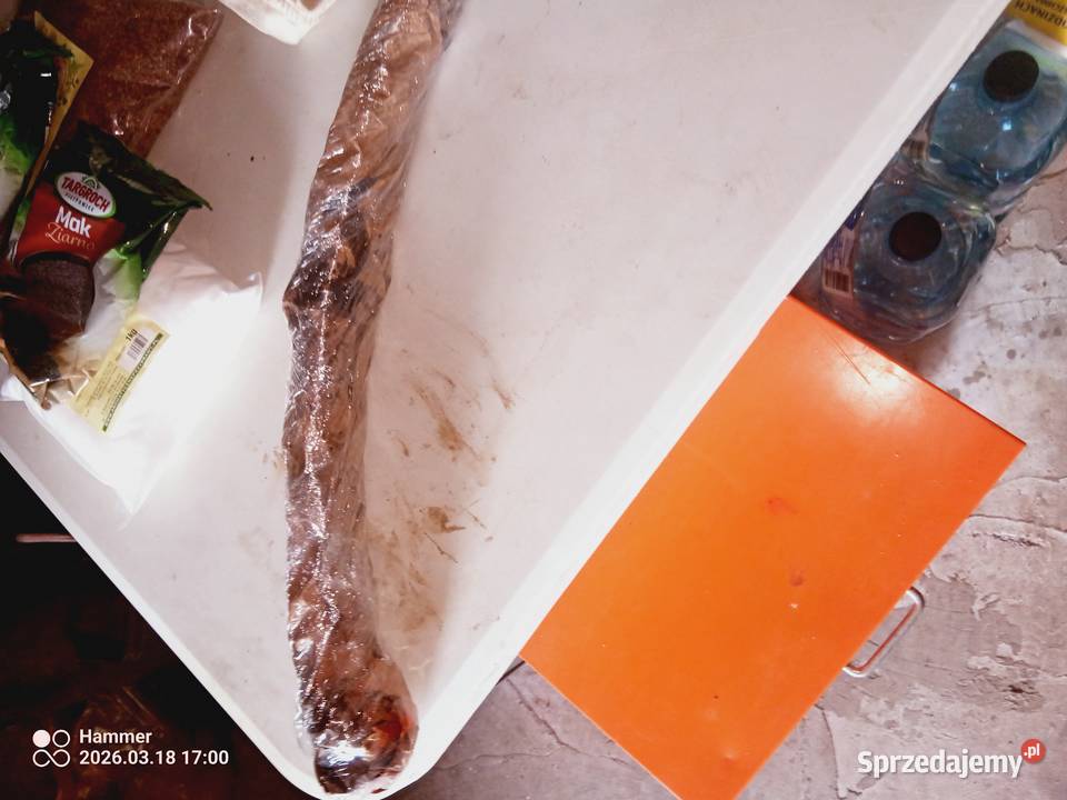 Nowy resor fiat 126p Twardogóra