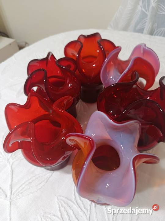 Osiołki CzZubera Warszawa