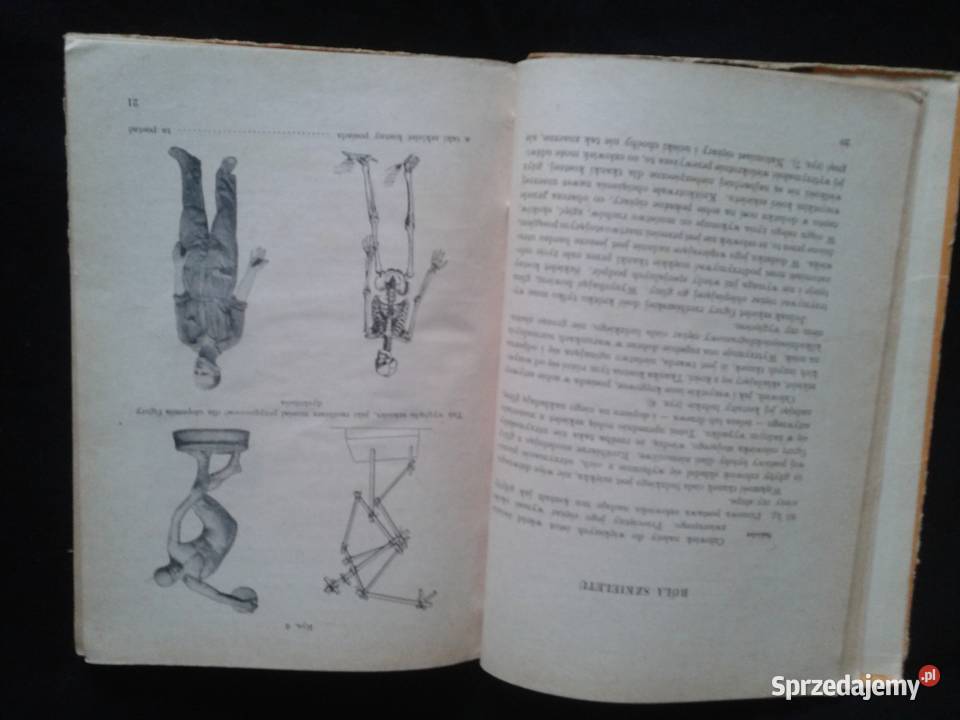 Nauka o człowieku klVII 1962r autorzyJWernerowa Książki naukowe i popularnonaukowe Łódź sprzedam