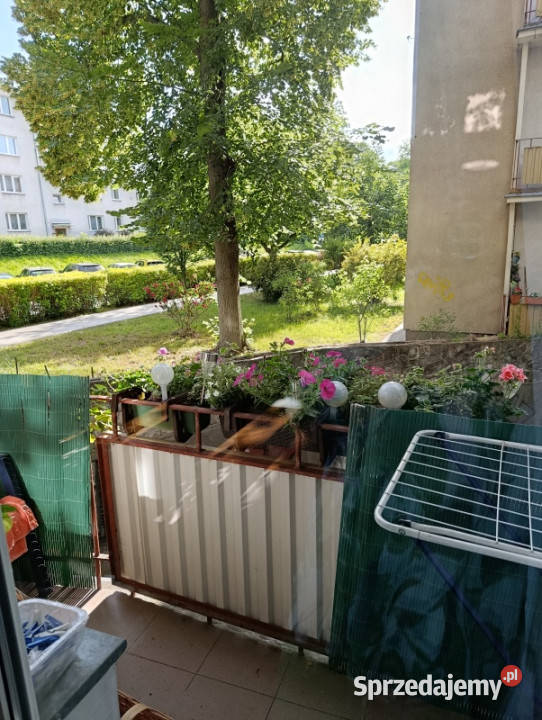 Sprzedam atrakcyjną kawalerkę Liczba pokoi 1 Lublin
