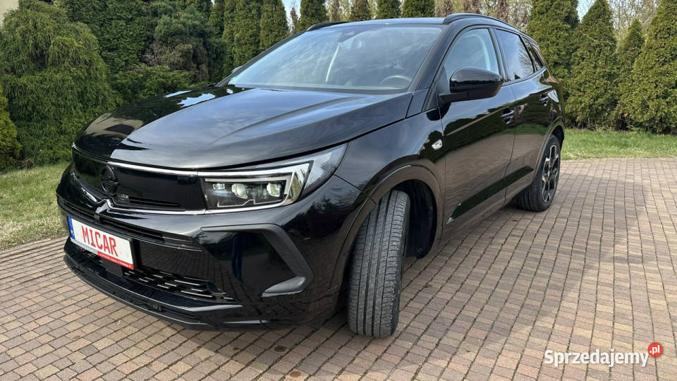 Opel Grandland Przasnysz