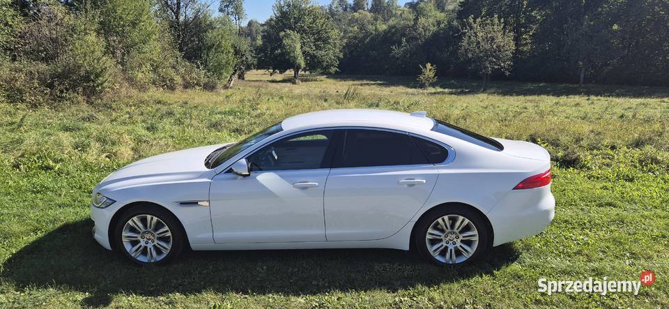 Jaguar XF 2016 20d Portfolio Samochody osobowe Poręba Wielka