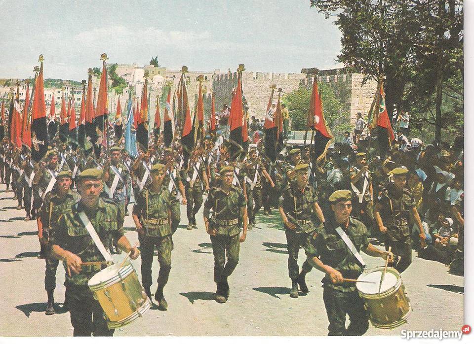 Izrael dzień niepodległości parada wojsk lubelskie Skierbieszów sprzedam