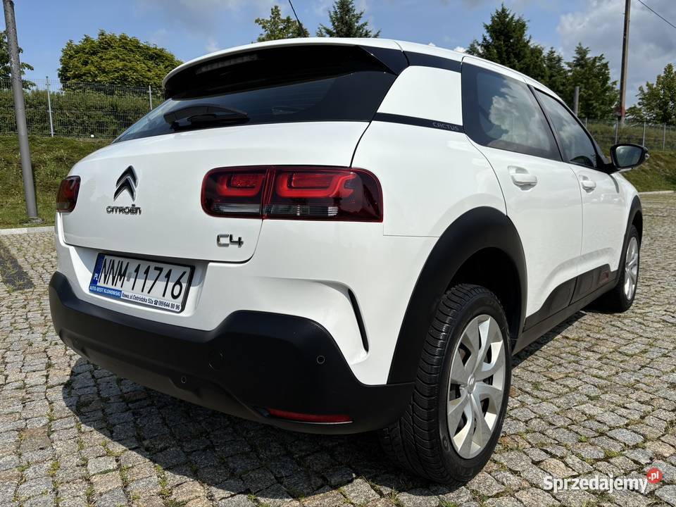 Citroen C4 Cactus I rej 2019 Salon I właściciel C4 Cactus Iława