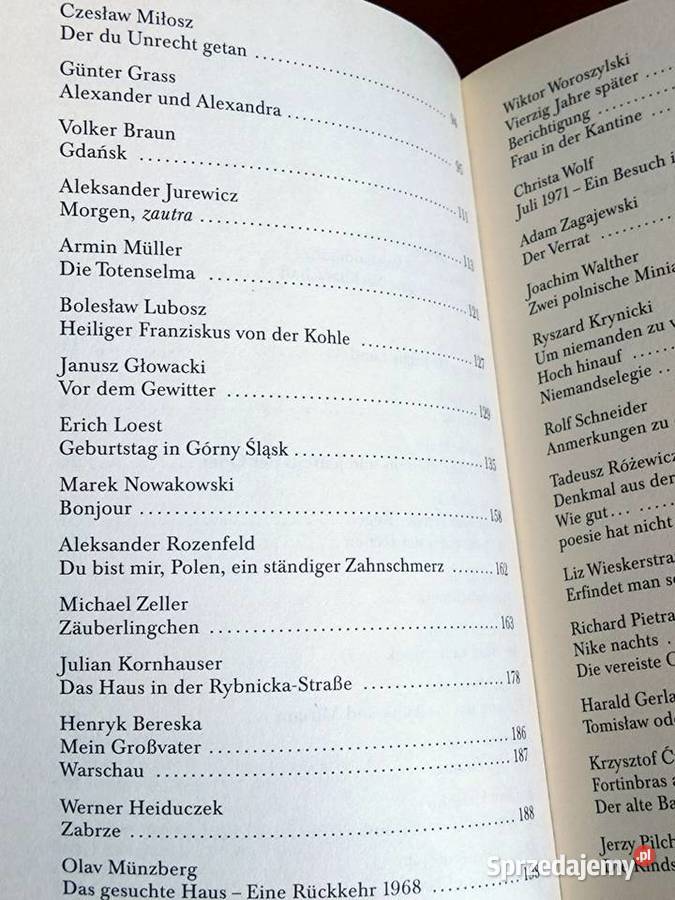 NNach den Gewittern Ein PolnischDeutsches Rok wydania 1995