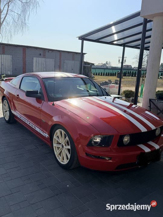 Ford mustang gt Sportowy / Coupe GT