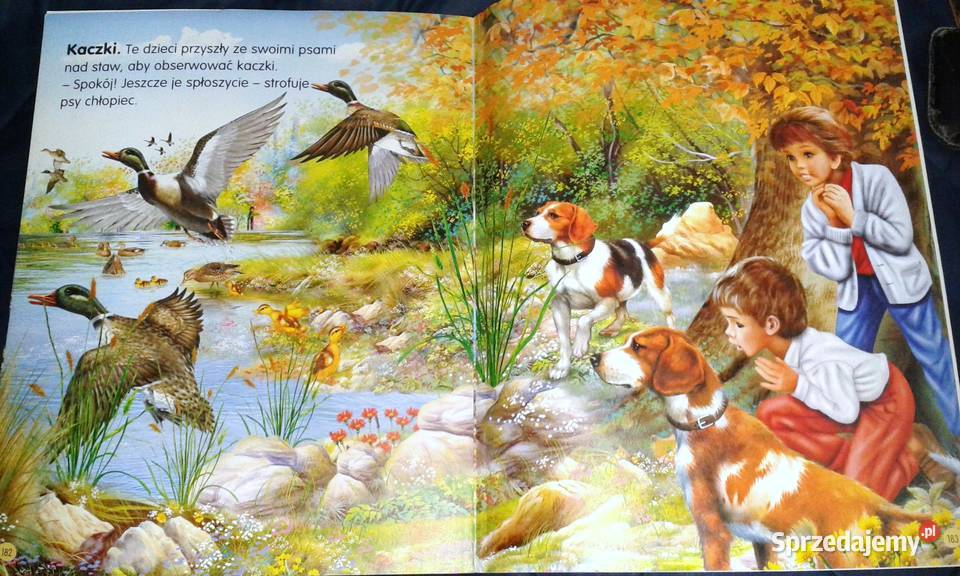 Zwierzęta świata Pere Rovira Francisco Arredondo Chełm