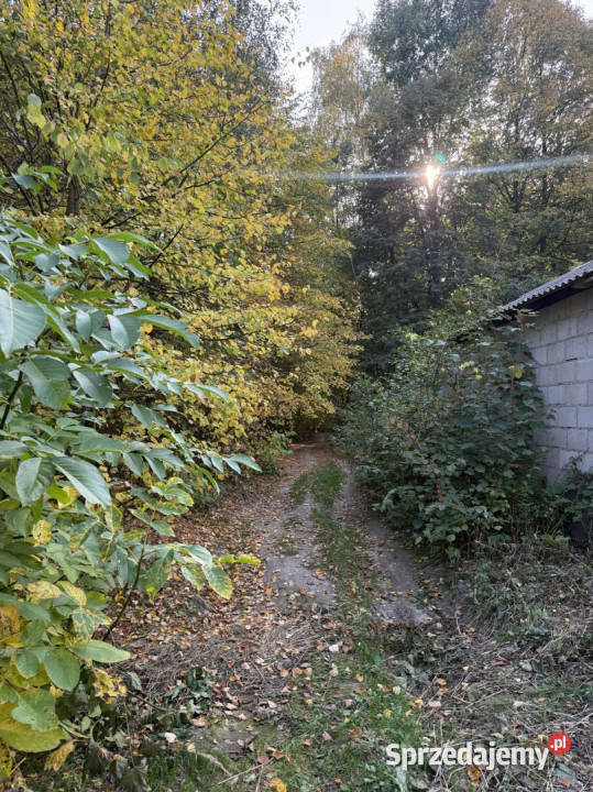 Tchórzew 164 siedlisko z lasem i ogromnym