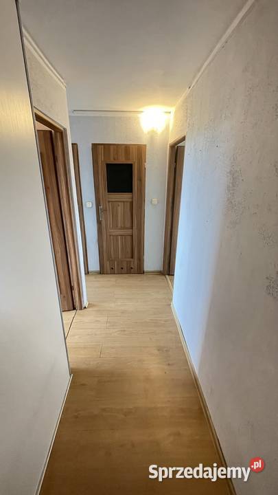 Popowice 2 pokoje 4150 m2 rozkładowe Wrocław