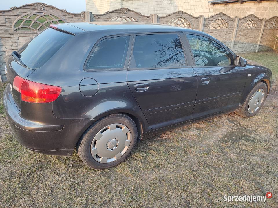 Audi A3 8p hatchback 20 TDI A3 Dudki