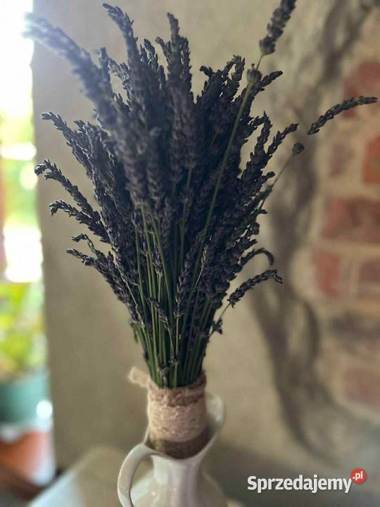 Bukiety lawendowe dekoracje kompozycje kwiatowe łódzkie Piotrków Trybunalski