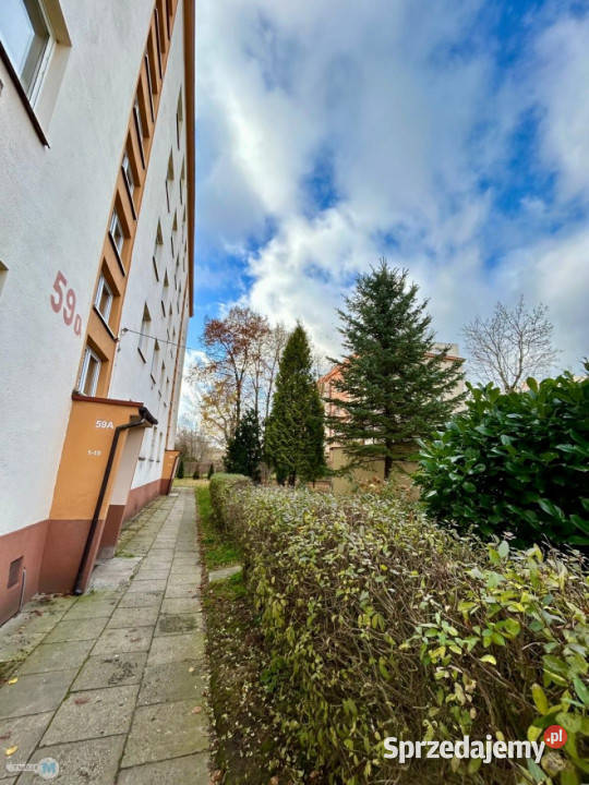 sprzedaży mieszkania Kielce 367m2 1 pokojowe