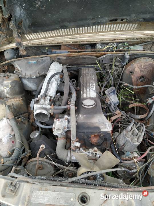 Sprzedam Hurtowo OPEL MONZA w całosci na częsci łódzkie Łódź