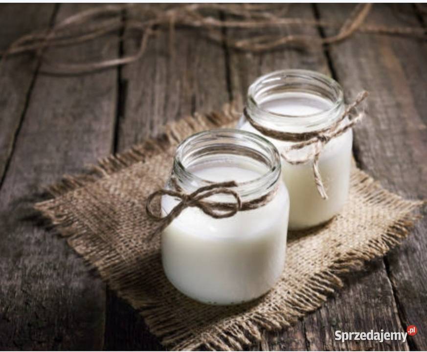 Mleko kozierasa anglonubijska