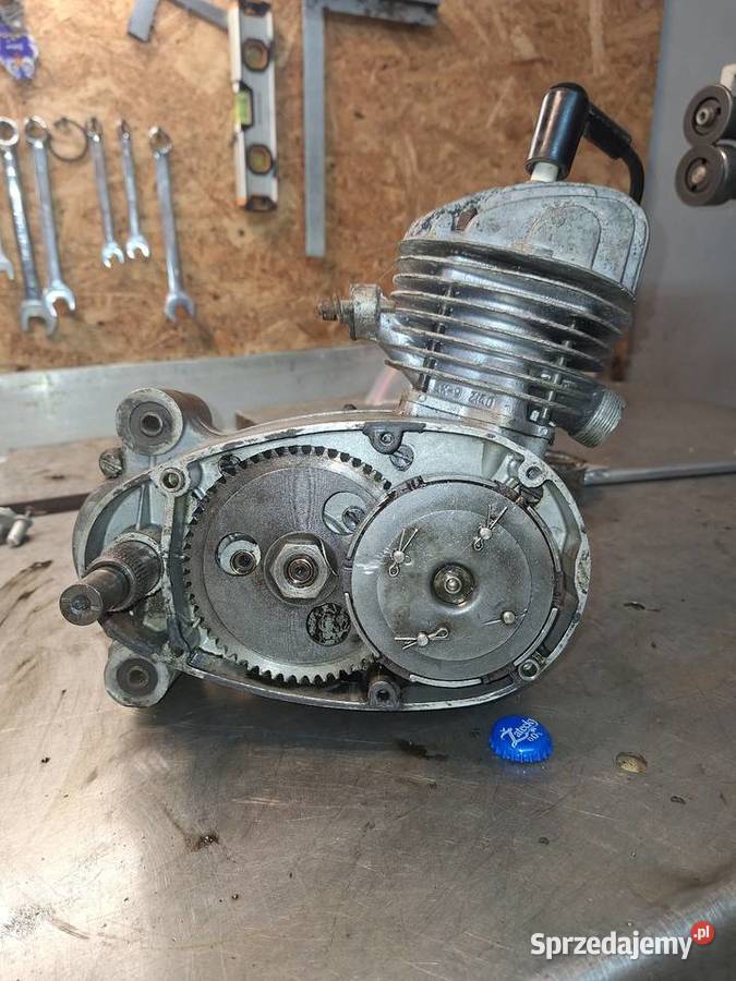 Komar sztywniak silnik S38 Krzywcza